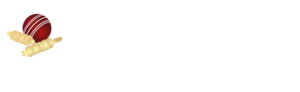 Actonville Spurs Cricket Club